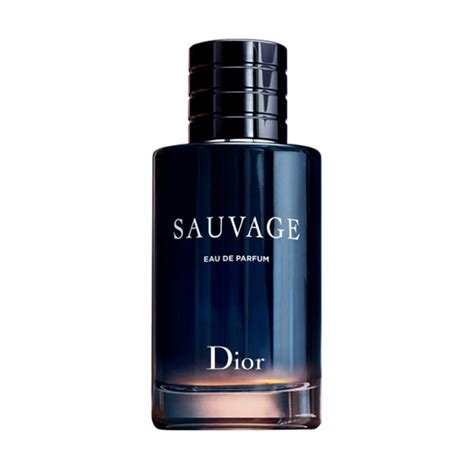 sauvage dior body spray price in pakistan|Dior perfume price in Pakistan.